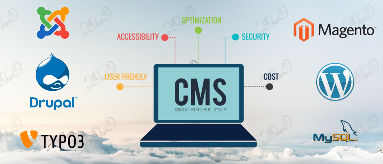 Cms software