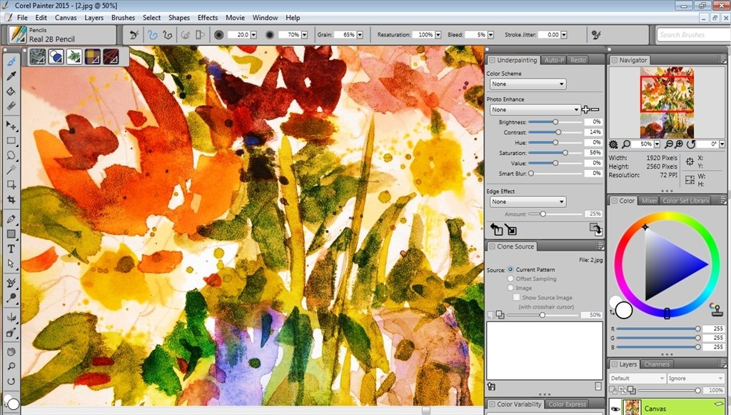 Corel painter